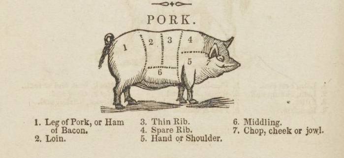 19th century cookbooks often included charts for butchering animals.