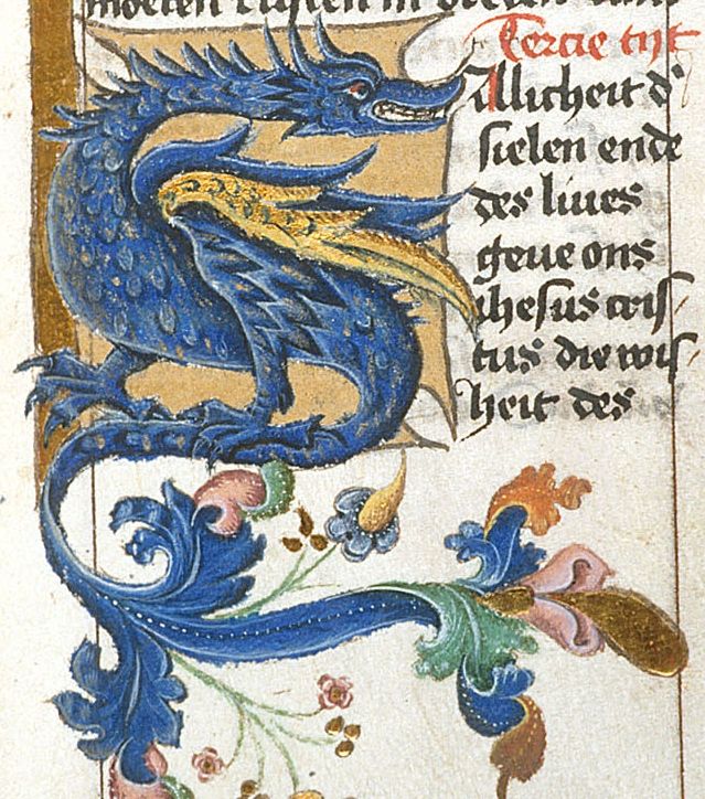 medieval manuscripts illustrations dragon